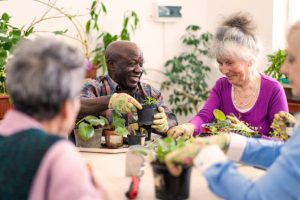 Indoor Gardening