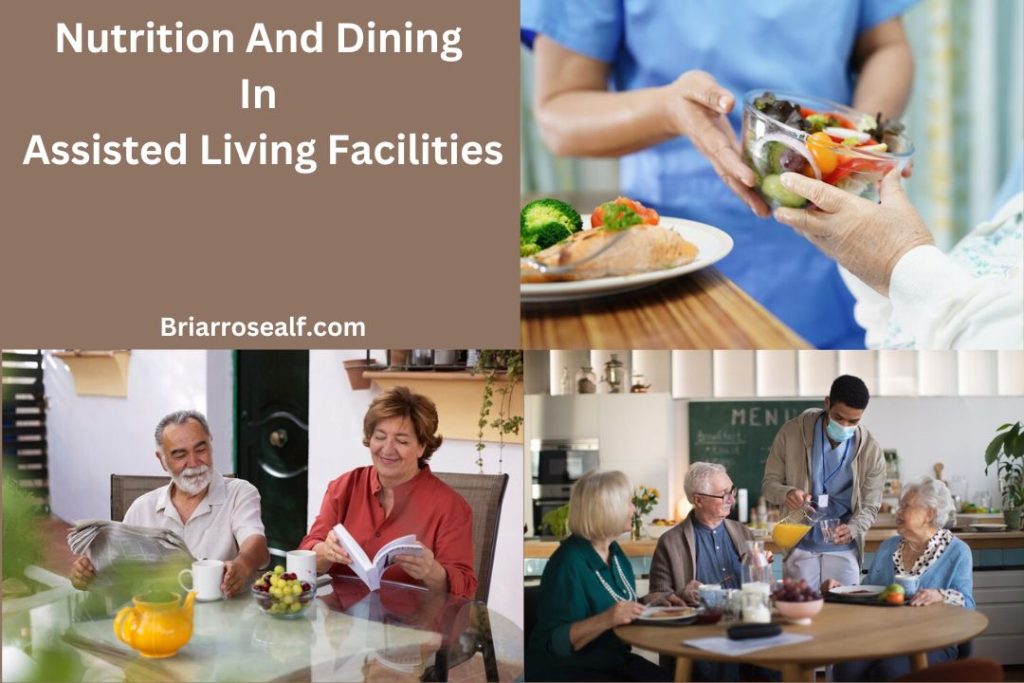 Nutrition In Assisted Living: Supporting Senior Health In Alaska